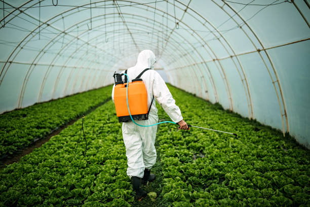 Professional Pest Control in Fordyce, AR