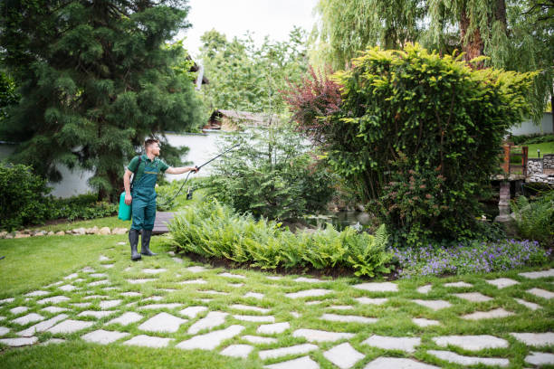 Best Pest Prevention Services  in Fordyce, AR