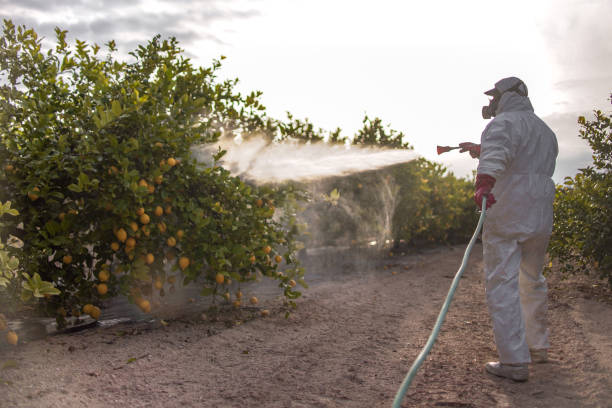Best Bed Bug Extermination  in Fordyce, AR