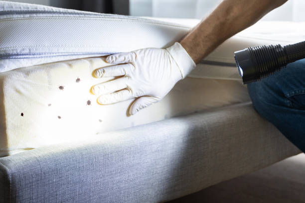 Best Pest Removal Services  in Fordyce, AR